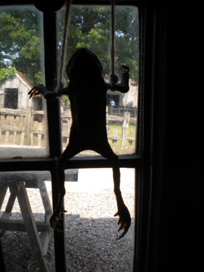 This dried frog was hung in the farm's kitchen window. I don't know why.